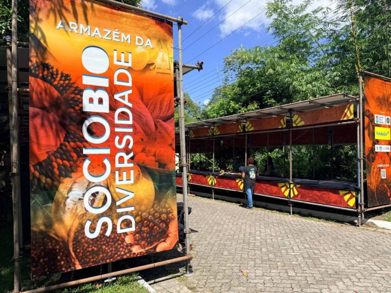 Armazém da sociodiversidade leva feira que mostra que floresta vale mais em pé no Espaço Chico Mendes na COP30 