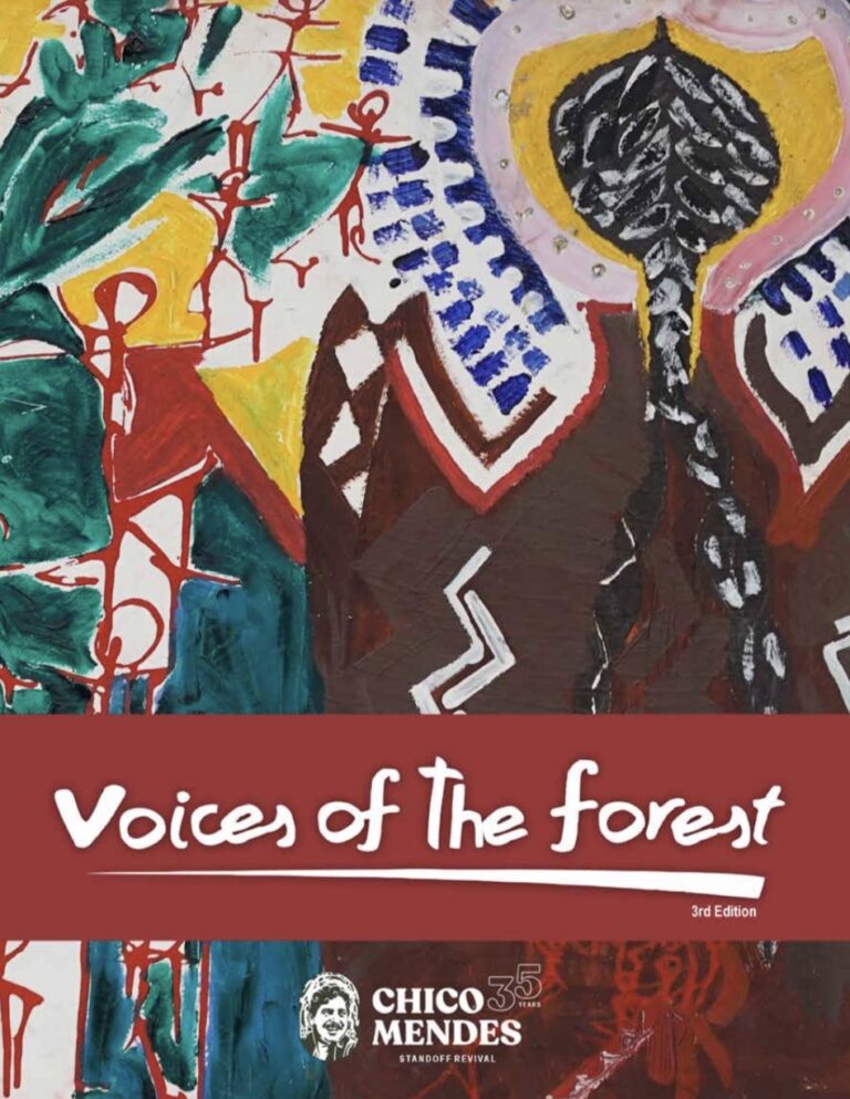 Livro Vozes da Floresta – Versão em Inglês