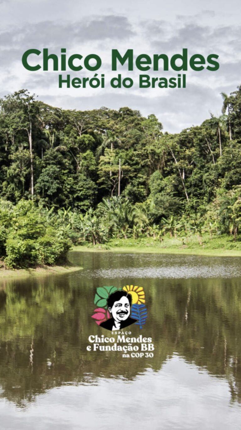 Chico Mendes Herói do Brasil