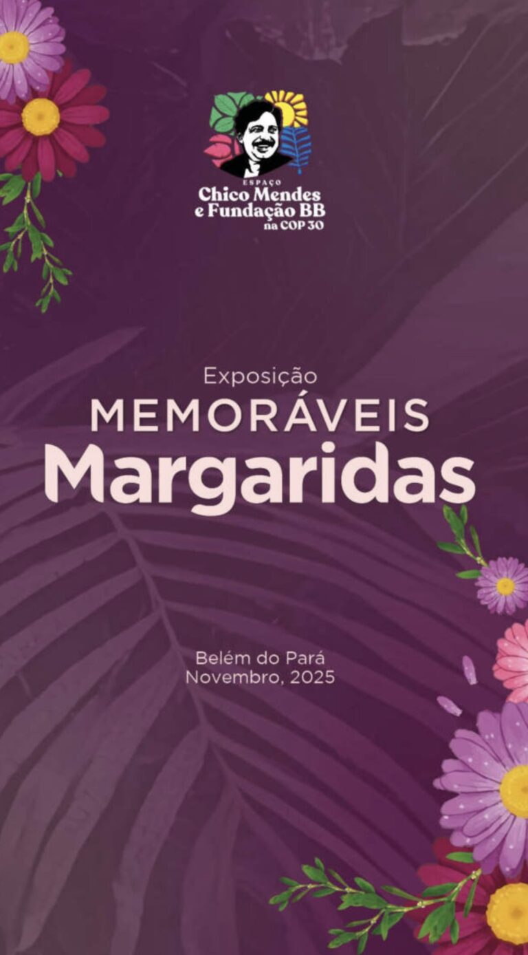 Memoráveis Margaridas
